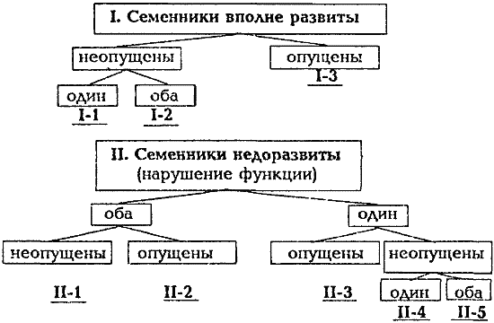 Размножение собак - i_005.png