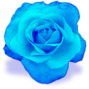 Полосатый кот и ласточка Синья - blue_rose.png