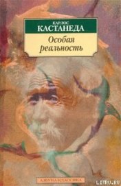 Особая реальность - Кастанеда Карлос