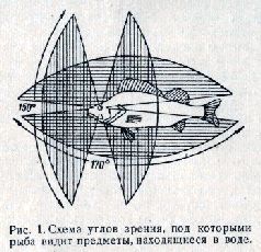 Спортивная ловля рыбы. - pic_1.jpg