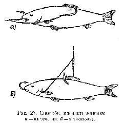 Спортивная ловля рыбы. - pic_103.jpg