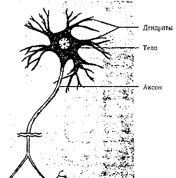 ГЕДЕЛЬ, ЭШЕР, БАХ: эта бесконечная гирлянда - i_084.png