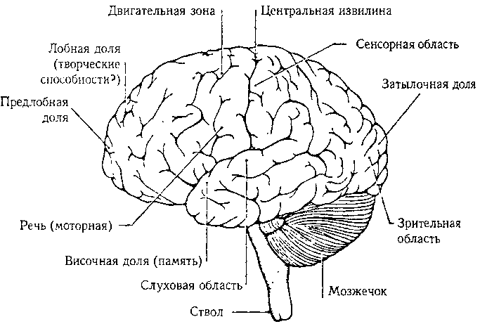 ГЕДЕЛЬ, ЭШЕР, БАХ: эта бесконечная гирлянда - i_085.png