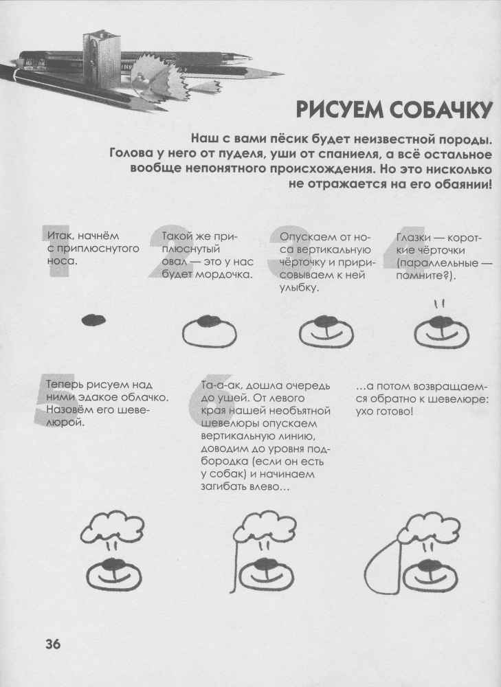 Как нарисовать любую зверюшку за 30 секунд - _37.jpg