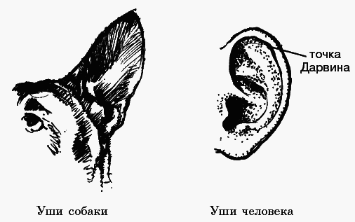 Язык взаимоотношений (Мужчина и женщина) - _050.png