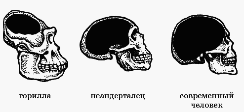 Язык взаимоотношений (Мужчина и женщина) - _068.png