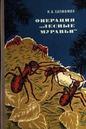 Операция «Лесные муравьи» - Халифман Иосиф Аронович