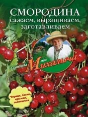 Пряные травы. Сажаем, выращиваем, заготавливаем, лечимся - Звонарев Николай Михайлович "Михалыч"