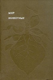 Насекомые. Пауки - Акимушкин Игорь Иванович