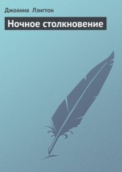 Ночное столкновение - Лэнгтон Джоанна