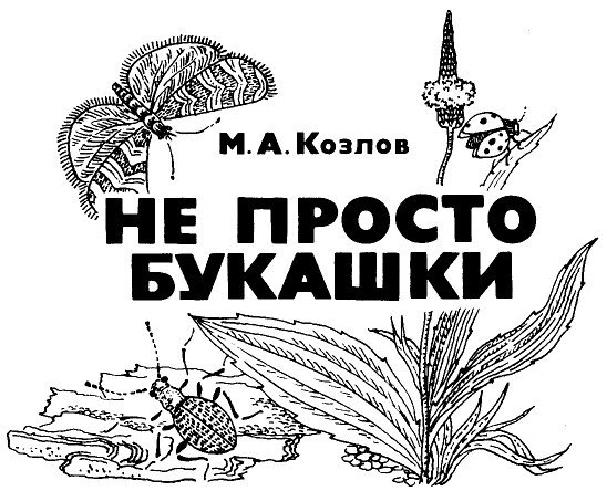 Не просто букашки - i_001.jpg