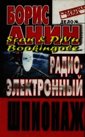 Радиоэлектронный шпионаж - Анин Борис Юрьевич