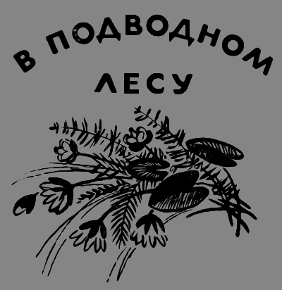 В лесах счастливой охоты - i_138.png