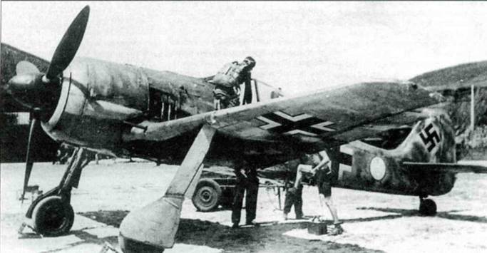 Focke Wulf FW190 A/F/G. Часть 2 - pic_1.jpg