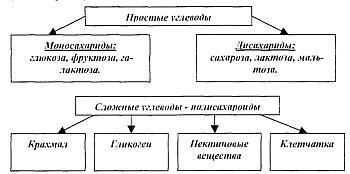 Питание мышц - _02.jpg