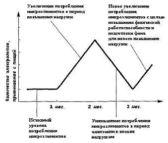 Питание мышц - _67.jpg