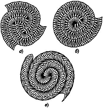 Новый ум короля: О компьютерах, мышлении и законах физики - i_066.png