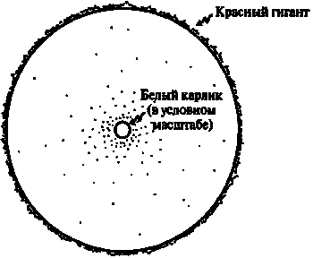 Новый ум короля: О компьютерах, мышлении и законах физики - i_182.png