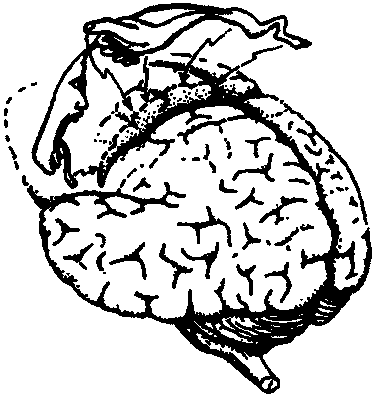 Новый ум короля: О компьютерах, мышлении и законах физики - i_215.png