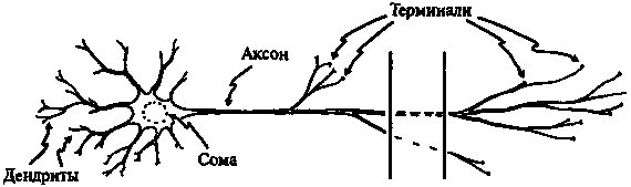 Новый ум короля: О компьютерах, мышлении и законах физики - i_219.png