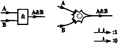 Новый ум короля: О компьютерах, мышлении и законах физики - i_225.png