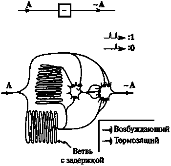 Новый ум короля: О компьютерах, мышлении и законах физики - i_226.png