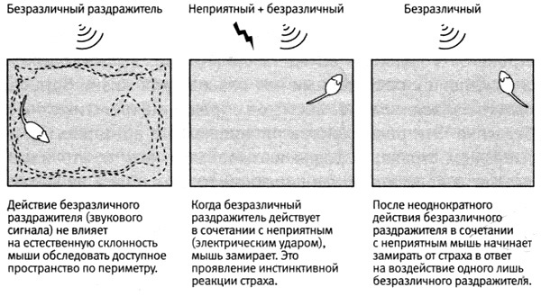 В поисках памяти - i_070.jpg