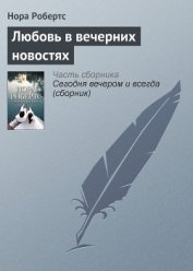 Любовь в вечерних новостях - Робертс Нора