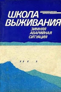 Школа выживания. Зимняя аварийная ситуация - Ильичев Андрей