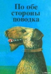 Фернандо, совсем необычный пес - Росс Дитрих