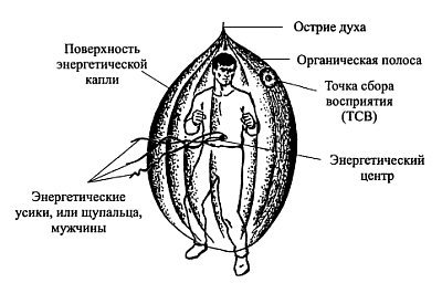 Взаимодействие с силой - i_014.jpg