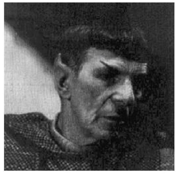 Я — Спок (СИ) - i101-leonard_nimoy_i_am_spock-103.jpg