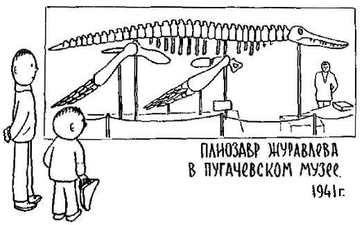 Путешествие по берегам морей, которых никто никогда не видел - i_092.jpg