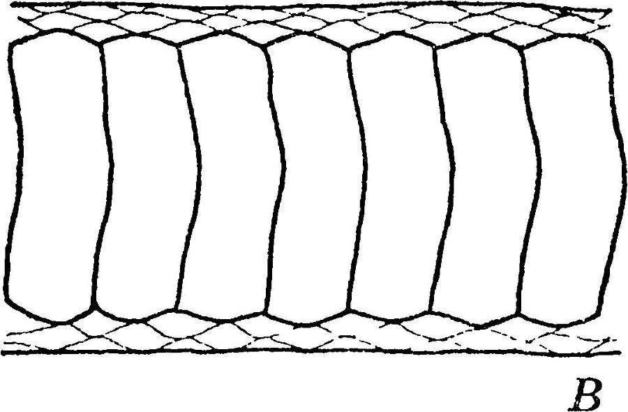 Я познаю мир. Змеи, крокодилы, черепахи - _3.jpg