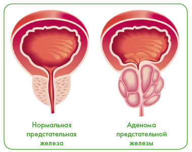 Энциклопедия диагностики и лечения от А до Я - i_003.jpg