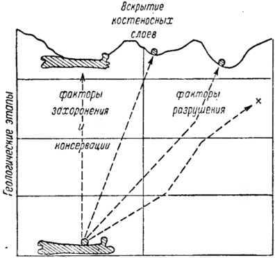 Записки палеонтолога. По следам предков - i_040.jpg