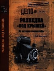 Разведка «под крышей». Из истории спецслужбы - Болтунов Михаил Ефимович