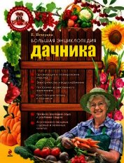 Большая энциклопедия дачника - Вечерина Елена Юрьевна