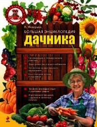 Большая энциклопедия дачника - Вечерина Елена Юрьевна