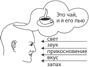 Искусство. Система навыков Дальнейшего ЭнергоИнформационного Развития - _4.png