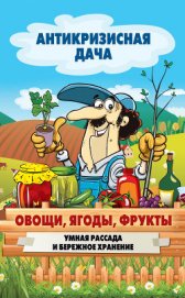 Овощи, ягоды, фрукты. Умная рассада и бережное хранение - Кашин Сергей Павлович