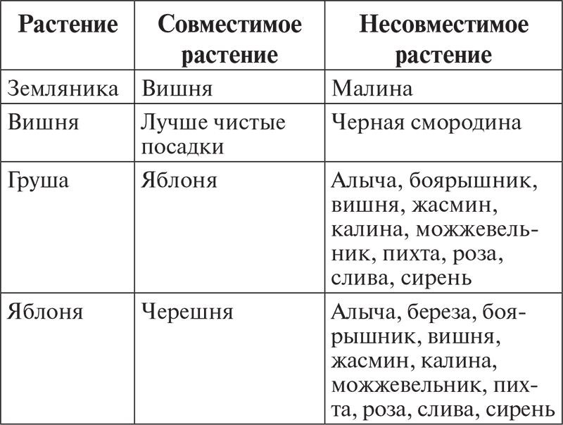 Выращиваем плодородный сад. Любая почва, все регионы - i_003.png