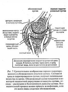 Ваше тело просит воды - pic_7.jpg