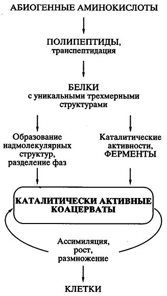 Биосинтез белков, мир РНК и происхождение жизни - imgF298.png