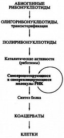 Биосинтез белков, мир РНК и происхождение жизни - Спирин Александр