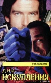 Дни искупления - Уильямс Уолтер Йон