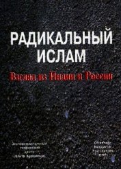 Радикальный ислам. Взгляд из Индии и России - Кургинян Сергей Ервандович