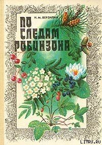 По следам Робинзона - Верзилин Николай Михайлович