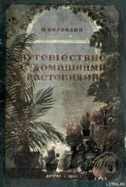 Путешествие с домашними растениями - Верзилин Николай Михайлович