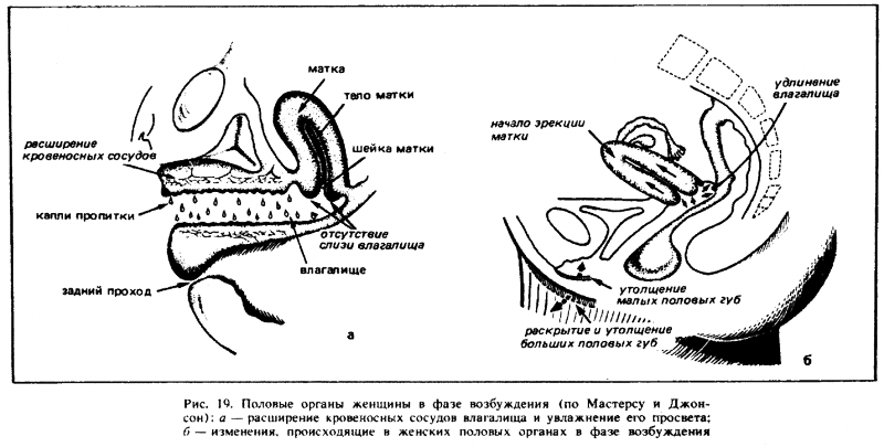 Искусство любви - _20.png